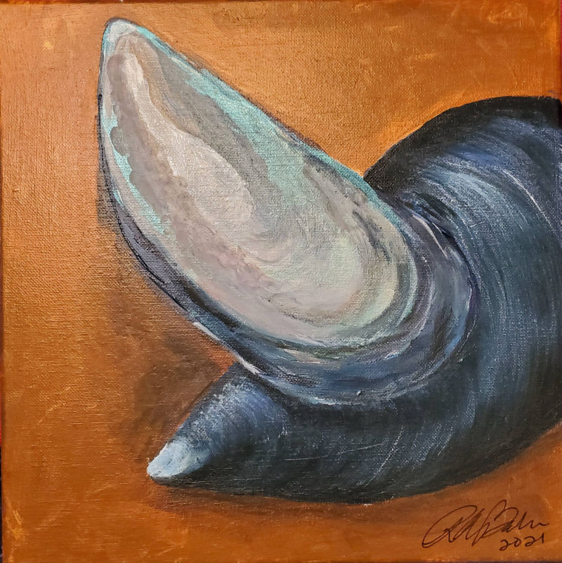 Salisbury Beach Mussels 2021